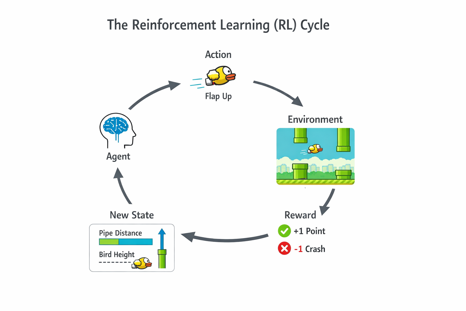 a clean, modern diagram illustrating the Reinforcement Learning (RL) cycle using the Flappy Bird game. The diagram shows a small yellow bird (Flappy Bird–style) flying between green pipes. The RL loop is visualized with arrows in a circular flow: Agent → Action → Environment → Reward → New State → Agent. The agent is represented as a small AI brain or neural network icon controlling the bird. The environment is the Flappy Bird world with sky background and pipes. The action is the bird flapping upward. The reward is shown as +1 points when passing a pipe and a negative reward when crashing. The state shows distances to pipes and bird height as simple visual indicators.